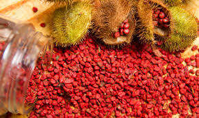 Alta calidad ANNATTO SEEDS original de Vietnam precio razonable para cocinar y hacer colorante de alimentos - Product Image 3