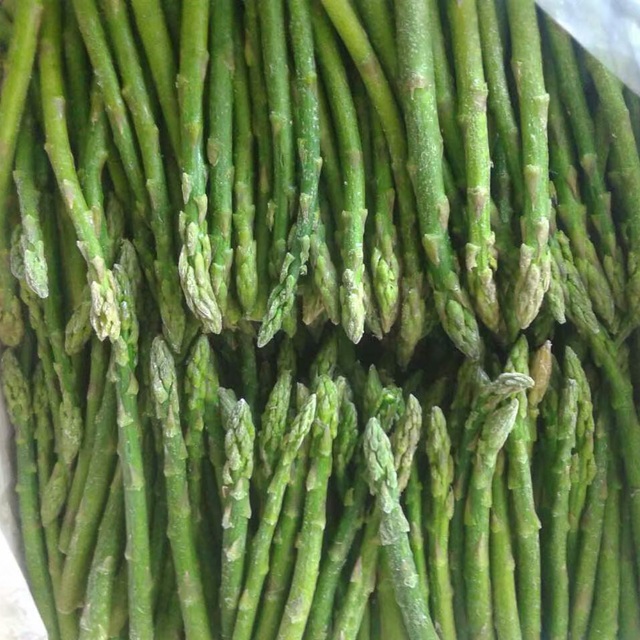 Agriculture Products Export Standard Frozen Vegetables Cooking Ingredients Frozen Asparagus From Vietnam