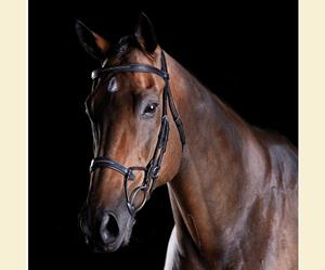 Fancy Stitch Brida Hecha de cuero de alta calidad Tocado de forma anatómica de manera uniforme - Product Image 6