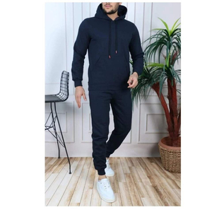 2025 hommes décontracté hiver Jogging survêtement ensemble Logo personnalisé en gros à manches longues avec grande taille Streetwear survêtement pour unisexe - Product Image 2