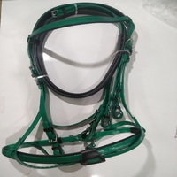 Bride de cheval d'anatomie, douce et rembourrée, sur mesure, Offre Spéciale de haute qualité, serre-tête de cheval, bride de cheval Premier fabriquée avec revêtement en PVC
