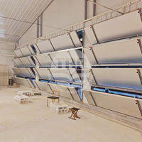 Système d'élevage avicole automatique à cage en H pour la production d'œufs