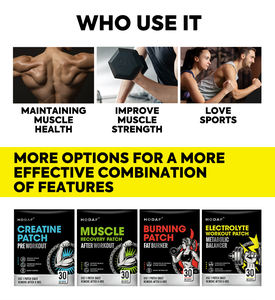 HODAF 新入荷 OEM ODM 経皮電解質ワークアウトパッチ 30枚入り 効果的な携帯用電解質サプリメント（ワークアウト用） - Product Image 3