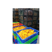 Tranches de mangue séchées de haute qualité, moelleuses, saveur naturelle, riches en fibres, sans additifs, idéales pour les détaillants de collations saines dans le monde entier