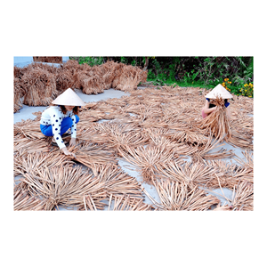 Jacinthe d'eau en matière première écologique pour la fabrication de paniers en tissage torsadé New Wave Box et en jacinthe d'eau à bas prix - Product Image 4