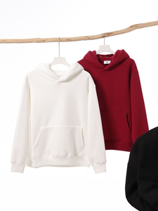 Sweat-shirts à capuche unisexes décontractés en coton 100% 350g pour l'hiver, couleur unie, avec logo brodé et imprimé par transfert thermique, doublés - Product Image 4