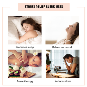 Achetez un mélange d'huiles essentielles 100% pures pour la relaxation et l'aromathérapie - Product Image 4