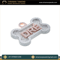 Collection de bijoux personnalisés en argent 925 pour animaux de compagnie, pendentif os de chien hip-hop, plaque nominative personnalisée, pendentif breloque en diamant Moissanite
