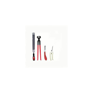 Farrier Rasp con pinza para pezuña Kit de herramientas de herrador de caballos profesional Hoof Clincher Nipper All Pcs Set Tools Wholesale Rate OEM - Product Image 6