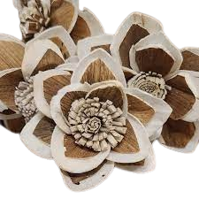 Sola ดอกไม้ไม้กกกระจายกลิ่นห้องพักทำด้วยมือดอกไม้ Sola Echo เป็นมิตรดอกไม้ Sola ธรรมชาติเพื่ออากาศสดชื่น - Product Image 6