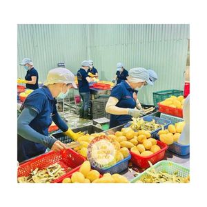 Mangue séchée jaune pure du Vietnam, fruit moelleux et savoureux, processus de séchage FD, disponible en vrac, emballage sous vide, bon prix de vente - Product Image 1