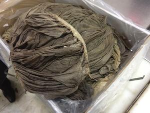 <b>Frozen</b> Beef Omasum Salted Dried Bulk Export Premium Quality Omasum Wholesale Meat Supplier Direct Price Buyer Choice - Product Image 6