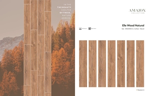 Carreaux de porcelaine naturelle en bois Elle de haute qualité 200x1200mm Surface polie Carreaux de porcelaine à forte résistance à l'usure - Product Image 2