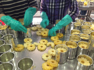 Viet Delta, precio de alta calidad, muy buen sabor, piña enlatada en rodajas, jarabe ligero 14-16 Brix para jugo, ensalada, hacer pastel Bella - Product Image 3