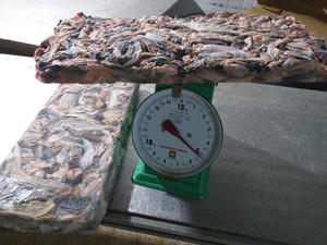 หนังปลาแช่แข็งจากเวียดนาม - Product Image 6