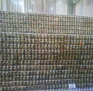 Pepinos en escabeche enlatados listos para comer, perfectos para el servicio de alimentos y la distribución a granel desde Vietnam - Product Image 4