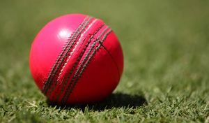 Balle dure de cricket rose 134g personnalisable haute performance avec logos et tailles personnalisés - Product Image 6