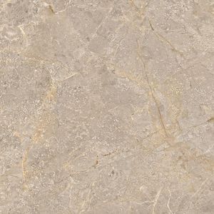 เลือกกระเบื้องพอร์ซเลนขนาด600x600มม. ที่ดีที่สุดในอินเดียเหมาะสำหรับพื้นที่หรูหรากระเบื้องพอร์ซเลนผิวหินอ่อนสไตล์อิตาลี - Product Image 2