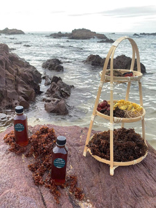 Algues Sargasses Séchées de Qualité Supérieure pour le Développement Alimentaire, l'Alimentation Animale, les Solutions d'Agriculture Biologique et les Utilisations Industrielles - Product Image 5