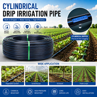 Tuyaux d'irrigation goutte à goutte cylindriques en PE de 16 mm, résistants à la chaleur et économiseurs d'eau, de 1000 mètres, pour terres agricoles - Prix compétitif