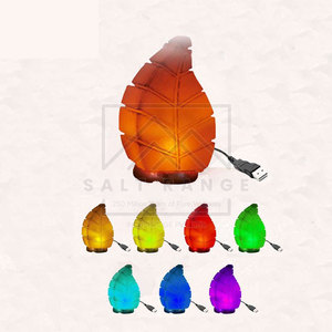 Lampe en sel de l'Himalaya sculptée de style nouveau - Décoration d'intérieur Cadeau avec design personnalisable et toucher réel - Product Image 3