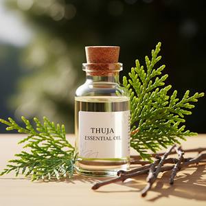 100% Pure Thuja Huile Essentielle Polyvalent Feuille De Cèdre Huile D'aromathérapie En Vrac En Gros De Qualité Cosmétique Prix Usine - Product Image 2