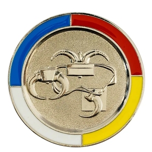 Quà Tặng Tưởng Niệm Sóc Đầy Màu Sắc Kim Loại Tùy Chỉnh Đồng Xu Người Chiến Thắng Của Giải Thưởng Thách Thức Đồng Xu Bí Mật Không Aski Trò Chơi Tiền Xu - Product Image 6