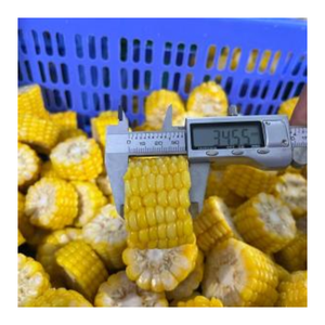 Sticky Corn Premium <b>Frozen</b> Kernel Corn Sweet Corn Cob from Vietnam Supplier - Caryln 0084935825297 - Product Image 1