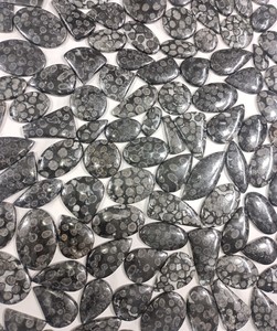หินปะการังฟอสซิลธรรมชาติสีดำทรงไข่ลูกแพร์หลวมเรียบ Cabochon ส่งตรงจากโรงงานขายส่งร้านค้าออนไลน์ตอนนี้ - Product Image 2