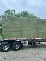 Alfalfa de qualité supérieure en granulés, cubes et balles, alimentation animale pour bovins, animaux domestiques et faune, favorise la nutrition