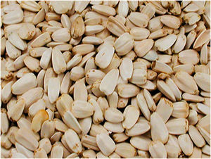 En coquille, graines de tournesol crues à vendre - Product Image 5