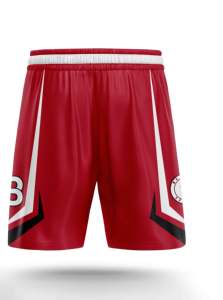 Pantalones Cortos de Baloncesto de Malla para Hombre Nestrue Sports, con Logotipo Personalizado, Impresión por Sublimación, Secado Rápido, Transpirables, Tallas Grandes, Unisex, Cintura Alta con Cordón - Product Image 4