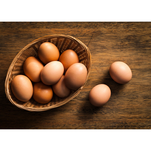 ตารางไก่สดไข่ไก่สดฟักไข่ในราคาที่ดีจากบราซิลสดและไข่ธรรมชาติ - Product Image 5