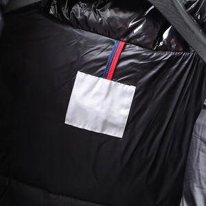 Custom Luxury Winter Solid Short <b>Waterproof</b> Duck Goose Shiny Men's Down <b>Puffer</b> 700 <b>Hood</b> <b>Jacket</b> Coat for Men Down <b>Jackets</b> - Product Image 5