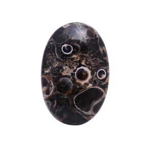 Haute qualité 27x17mm pierre naturelle jaspe pierre précieuse Cabochon Turritella jaspe pierre précieuse en vrac forme ovale - Product Image 1