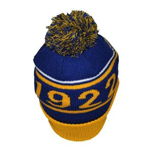 Casquette en tricot personnalisable unisexe en coton 100% bleu et or de la sororité Sigma Gamma Rho - Product Image 2