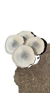 Handmade Luxury Resin <b>Coaster</b> Set in Custom with Gold Detailing Elegant Table Decor and <b>Drink</b> <b>Coasters</b> - Product Image 3