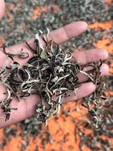 Seta de oreja de madera seca de alta calidad | Hongo negro orgánico de Vietnam - Product Image 5