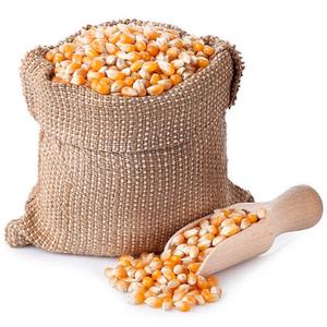 Producto de almacenamiento de maíz orgánico de tipo seco con condición de alto grado de humedad de estilo animal cultivado en su lugar - Product Image 4