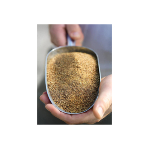 เมล็ดเรพซีด/เมล็ดคาโนลา - Product Image 6