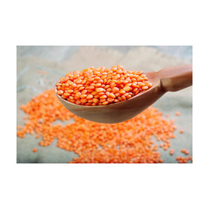 Approvisionnement efficace de lentilles rouges en gros, légumineuses de haute qualité, livraison rapide - Product Image 4