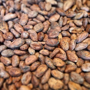 Granos de cacao ARIBA verde orgánico Sabor natural de grado premium en stock a granel Precios al por mayor para aplicación de chocolate - Product Image 5