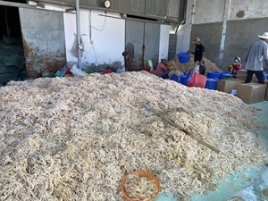 Alga Marina vietnamita Finest Cottonii: ideal para uso culinario y cosmético, proveedores principales de exportación directa para mercados internacionales - Product Image 4