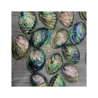 Vietchoice Phoebe Coquille d'huître ovale naturelle noire 60-80mm Nacre Accessoires de bijoux DIY en vrac Corail osseux Troisième