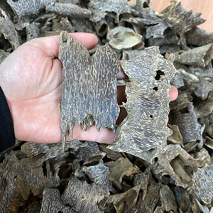 Natural Sandalwood Chips Agarwood Incense Oud Wood Fragrance Chinese <b>Aromatic</b> Powdered Incense All Season Use 100% Natural - Product Image 1