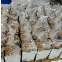Vietnamesische Cashewnüsse Spezialität Geröstete Premium-Cashews Marke Hiva's Cashews Größe W180 W320 W450 Exportbereit Günstiger Preis
