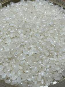 Arroz Japonica para Cocinar Sushi, Precio Bajo, WA 84 985971368, Otro Nombre: Riz, Similar a Camolino Calrose - Product Image 2