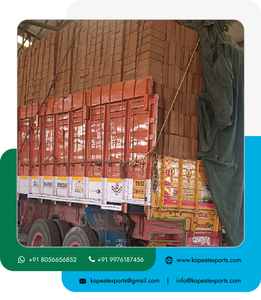 Bulksuper rửa sạch đôi siêu thấp <span class=keywords><strong>EC</strong></span> Coco than bùn <span class=keywords><strong>5kg</strong></span> khối cho làm vườn và hydroponics xơ dừa <span class=keywords><strong>pith</strong></span> khối <span class=keywords><strong>5kg</strong></span> - Product Image 2