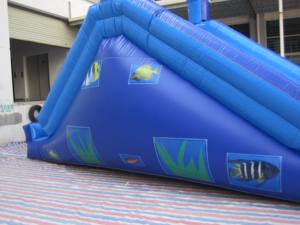 Tobogán acuático inflable doble con forma de delfín para alquiler en fiestas y diversión acuática infantil - Product Image 6
