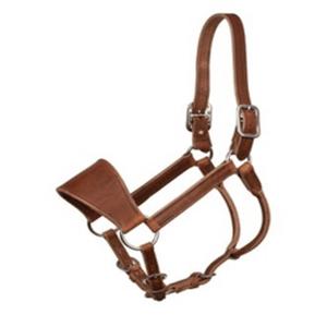 Licou en cuir de cheval confortable et durable en cuir équestre de haute qualité course de chevaux et licou d'entraînement - Product Image 2